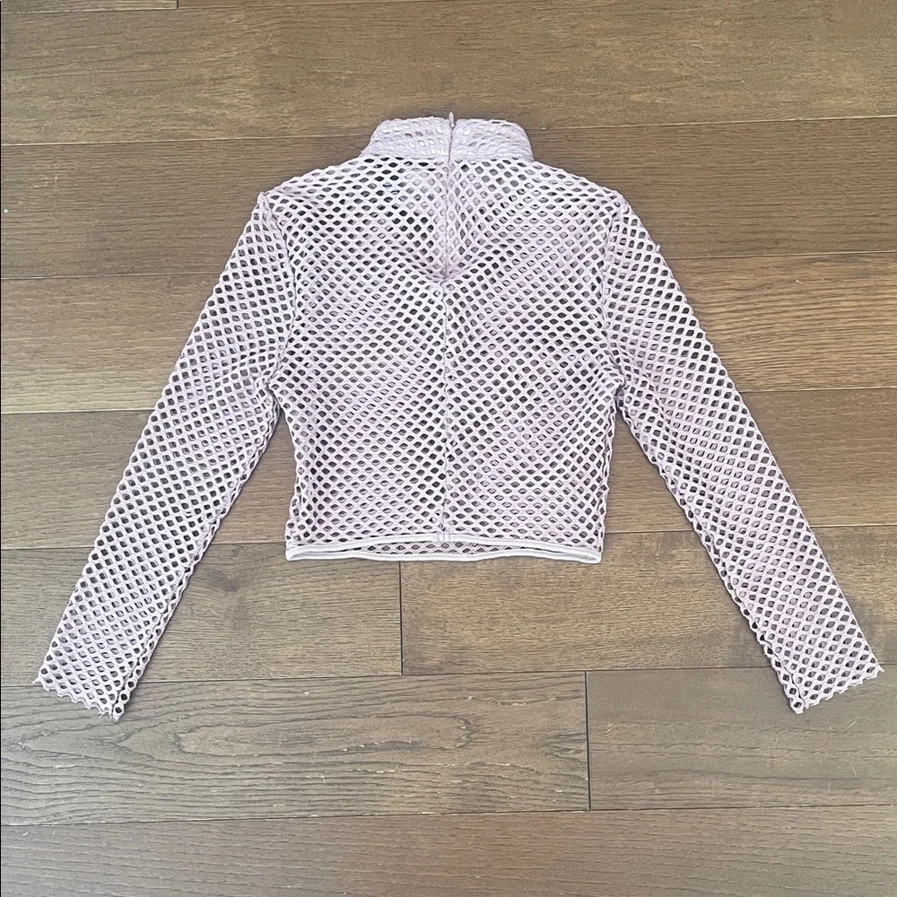 Mauve Mesh Long-Sleeve Crop Top with Mock Neck
